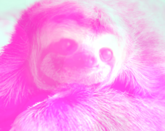 Beach Sloth